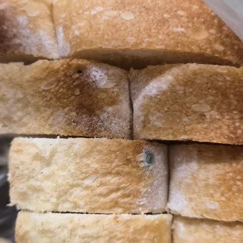 Küflü Ekmek Satışı Ve Kasa Kapandı Yanıtı