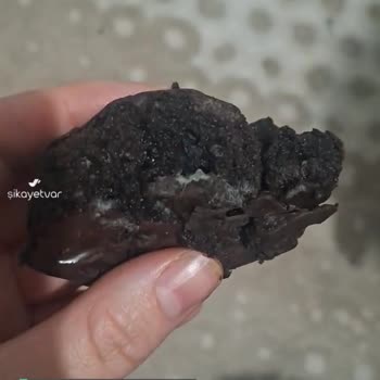 Torku Gold Kek İçi Küf Ve Kötü Kokulu