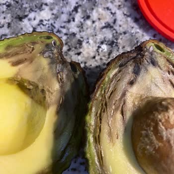 Avokado Çürük, Ananas Tadı Bozuk: Taze Ürün Denetimi Talebi