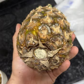 Çürük Ananas Satışı Ve Gıda Güvenliği İhlali