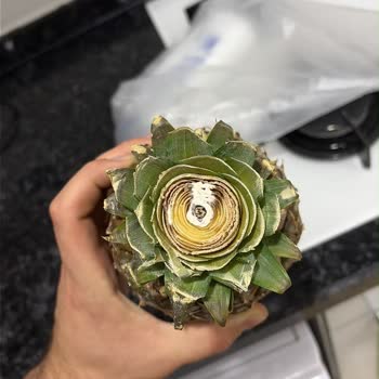 Çürük Ananas Satışı Ve Gıda Güvenliği İhlali