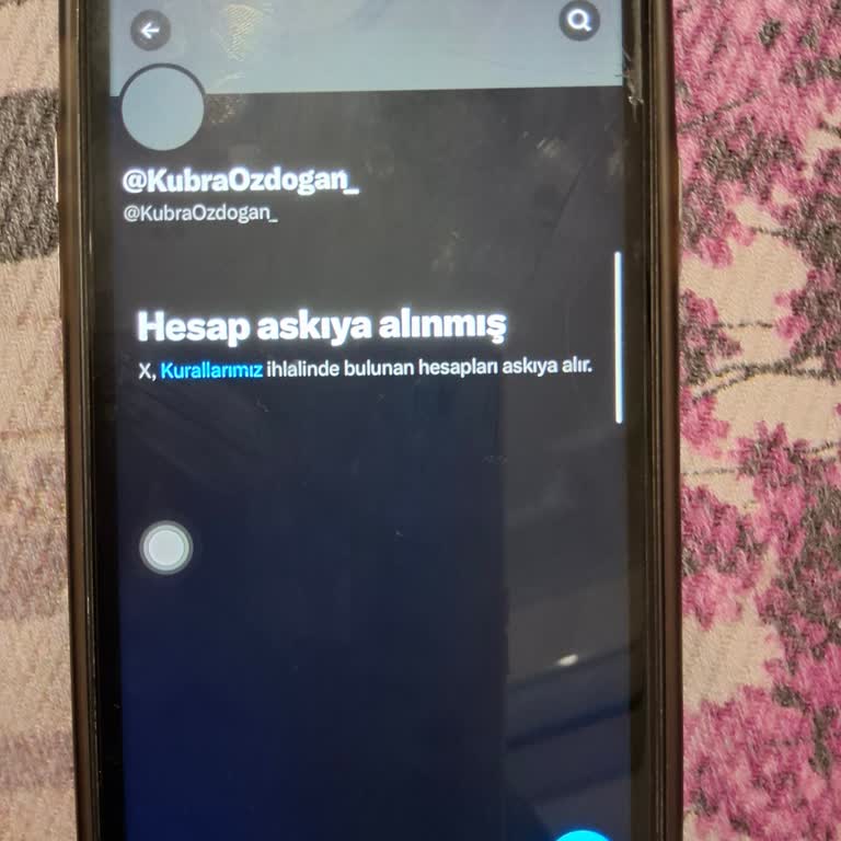 Hesabım İzinsiz Ele Geçirildi, E-posta Değişti Ve Askıya Alındı