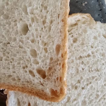 Untad Tost Ekmeğinde Kahverengi Yabancı Madde Sorunu Güvenimizi Sarsıyor