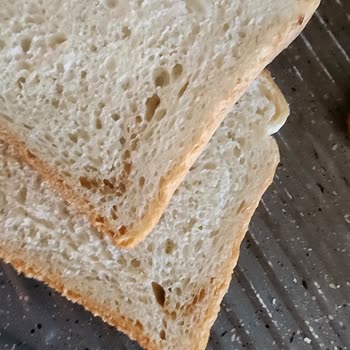 Untad Tost Ekmeğinde Kahverengi Yabancı Madde Sorunu Güvenimizi Sarsıyor