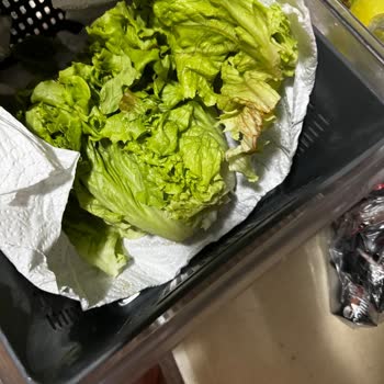 Arçelik Buzdolabında Soğutma Problemi Ve Servis İhmali