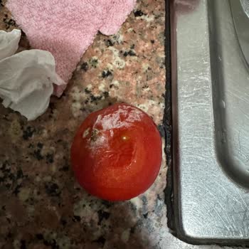 Arçelik Buzdolabında Soğutma Problemi Ve Servis İhmali