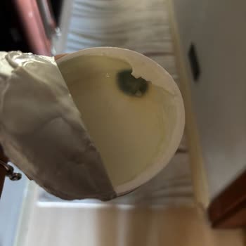 Sek Süt Küflü Quark Ürünlerinde Hijyen Endişesi