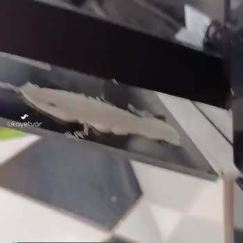 Alveus Değişim Talebi