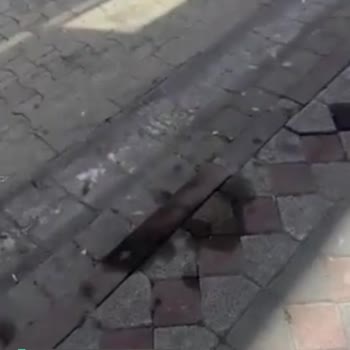 Sultangazi Belediyesi Temizlik İşlerinin Yapılmaması!