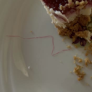 A101 Cheesecake’te Çıkan İp Tüketiciyi Tehlikeye Attı