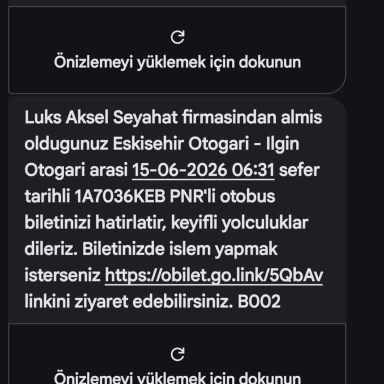 Engelli Annemle Yol Kenarında Bırakılmamız Ve Kaba Muavinin Davranışı