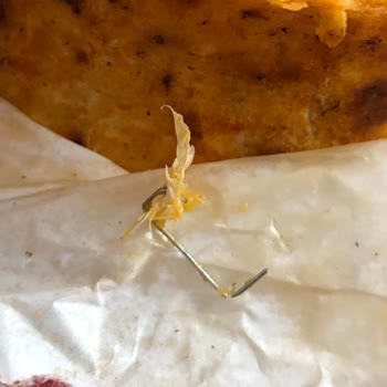 Burrito’da Çıkan Zımba Telinin Dişe Saldırısı Ve Sağlık Riski