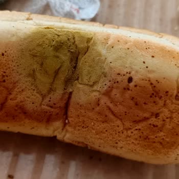 Untad Premium Sandviç Ekmeğinde Küf Oluşumu Ve Sağlık Riski