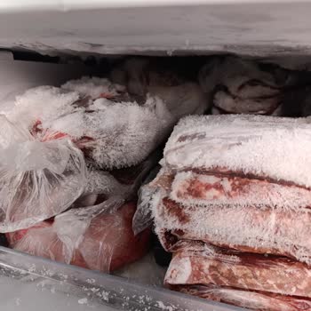 Arçelik Buzdolabım Donma Ve Aşırı Isınma Sorunlarıyla Servis Tarafından Görmezden Geliniyor