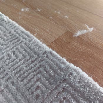 Sürekli Tüy Bırakan Halı Ve Mağazanın Sorumluluk Reddi