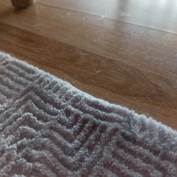 Sürekli Tüy Bırakan Halı Ve Mağazanın Sorumluluk Reddi
