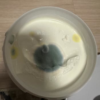 Küflü Yoğurt Ve Sağlık Riski İade Talebi
