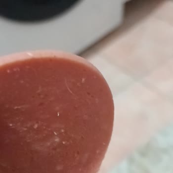Lezita Pro Piliç Salamda Kıl Tespiti Ve Şirketin Sessizliği