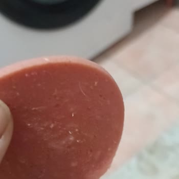 Lezita Pro Piliç Salamda Kıl Tespiti Ve Şirketin Sessizliği