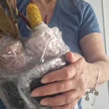 Nadir Kaktüs Plant & Decoration Görsel Ve Gelen Renk Büyüklük Çok Farklı Ve Eksik!