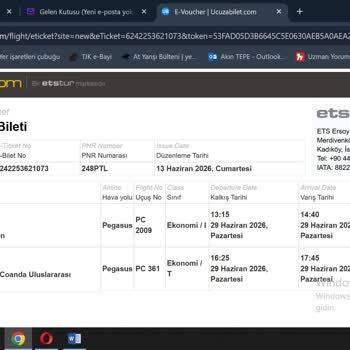 Pegasus’ta Mükerrer Soyad Düzeltme İçin Fahiş Ücret Talebi