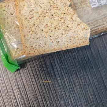 Eti Gıda Eti Form Bisküvinin İçinden Resmen Saman Benzeri Yabancı Bir Madde Çıktı