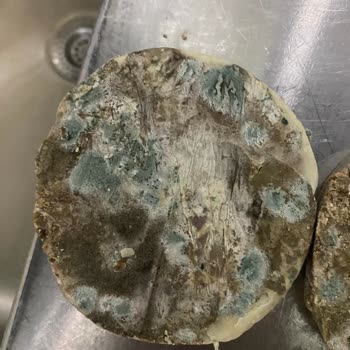 Bozulmuş Kavurma Ve İletişimsiz Hizmet: 1.400 TL Tam İade Talebi