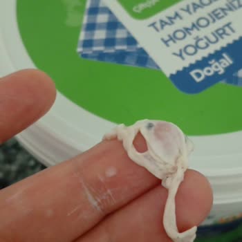 Yoğurtta Yabancı Cisim Ve Çözüm Bulamayan Market
