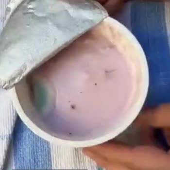 Sek Quark Küflü Yoğurt