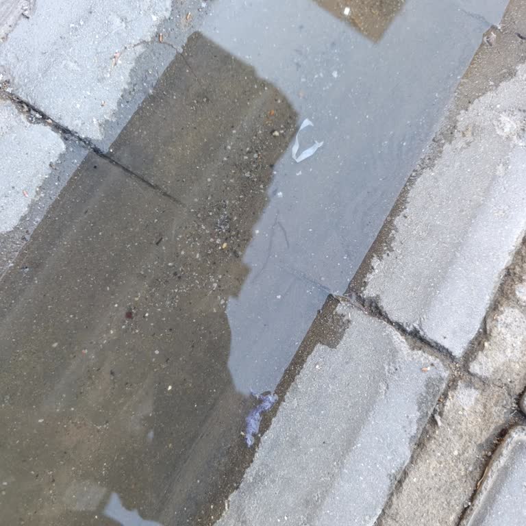 Aydın Germencik BİM Şubesinde Lağım Kokusu Sağlık Ve Hijyen Sorunu