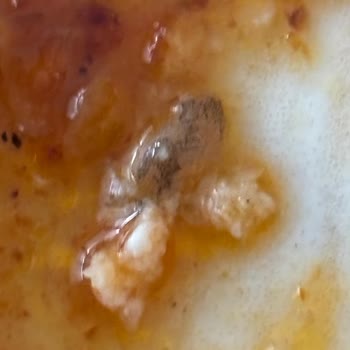 Dardanel Somon Porsiyonunda Larva Keşfi Ve Sağlık Tehlikesi