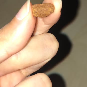 Üründe Bulunan Koyu Parçacık İçin Hijyen Ve Sağlık Açısından Açıklama Talebi