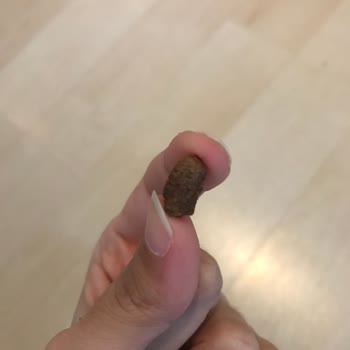 Üründe Bulunan Koyu Parçacık İçin Hijyen Ve Sağlık Açısından Açıklama Talebi