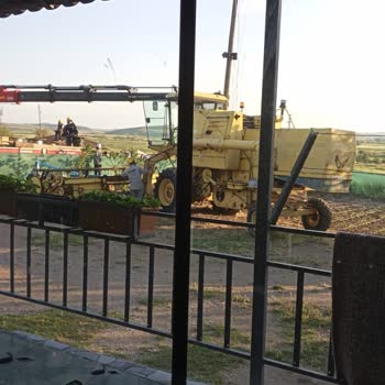 Sökülen Aydınlatma Direğinin Yerine Yeni Direk Ve Elektrik Bağlantısının Derhal Yenilenmesi Talebi