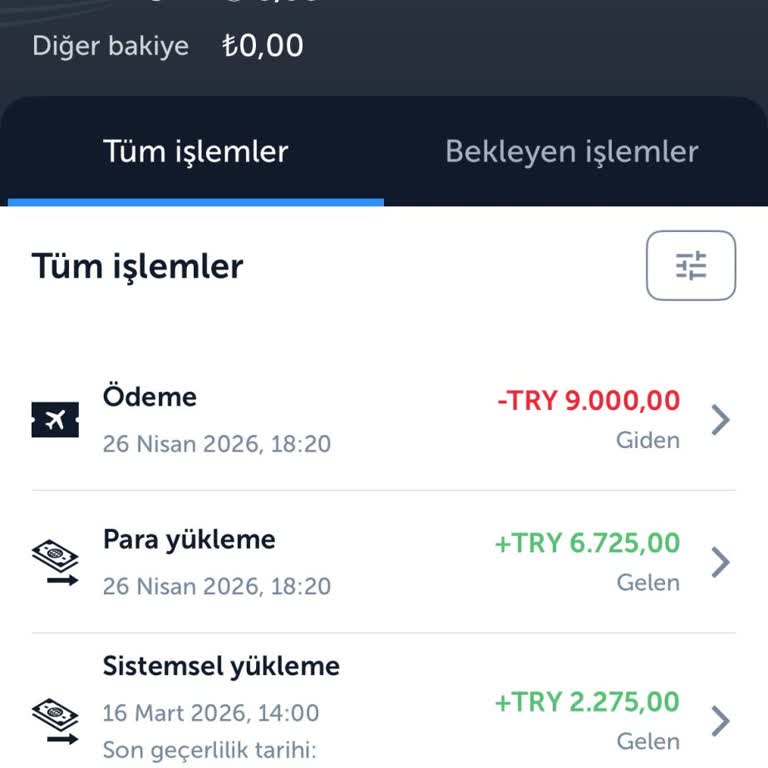 THY Bilet Görünmemesi ve Çifte Ücret İadesi Talebi