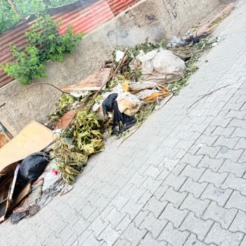 Gülbahçesi Mahallesinde Çöp Toplama Hizmeti 10 Gün Süreyle Aksamış Acil Düzeltme Gerekiyor