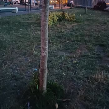 Karabağ Parkı Aydınlatma Arızası Çocuklar İçin Güvenlik Riski