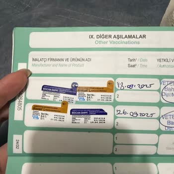 Havaist Şoförünün Evcil Hayvanı Çantada Taşıma İsteğine Karşı Çıkması Ve Çelişkili Müşteri Yanıtları