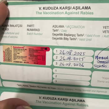 Havaist Şoförünün Evcil Hayvanı Çantada Taşıma İsteğine Karşı Çıkması Ve Çelişkili Müşteri Yanıtları