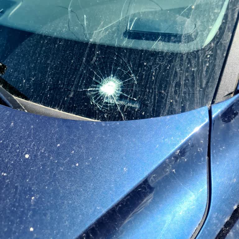 Şişli Belediyesi Feriköy Otoparkında Cam Hasarı İçin Sigorta Yokluğu Ve Tazminat Talebi