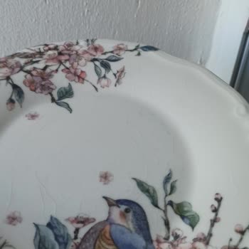 Karaca Kahvaltı Tabaklarında Gizli Çatlak Sorunu