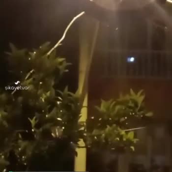 Karabağlar Çalıkuşu Mahallesi Bozyaka Karabağlar'da Küçük Sinekler Çok Fazla!