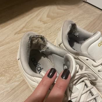 Adidas Spor Ayakkabının Parçalanması Nedeniyle Değişim Ve İade Talebi