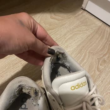 Adidas Spor Ayakkabının Parçalanması Nedeniyle Değişim Ve İade Talebi
