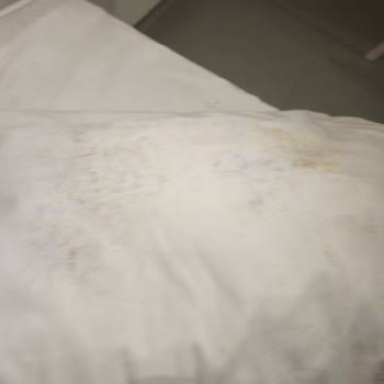 Golden Beach Bodrum’da Hijyen Krizi Mikrop Yuvası Ve Böcek İstilası