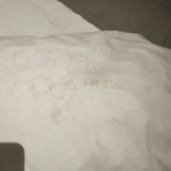 Golden Beach Bodrum’da Hijyen Krizi Mikrop Yuvası Ve Böcek İstilası