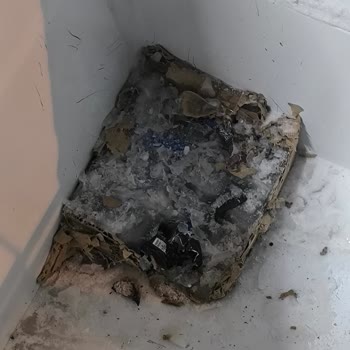 Teslim Belgeleri Olmadan Başlanan Satış Ve Dondurma Dolabı Arızası Nedeniyle Yaşanan Mağduriyet
