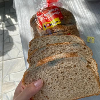 Şok Market’ten UNO Tost Ekmeğinde Küflenme Ve Ağır Koku Şikayeti