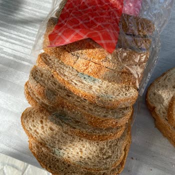 Şok Market’ten UNO Tost Ekmeğinde Küflenme Ve Ağır Koku Şikayeti