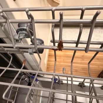 Teka Bulaşık Makinesinde Sepet Paslanması Ve Çürümesi Ücretsiz Değişim Talebi